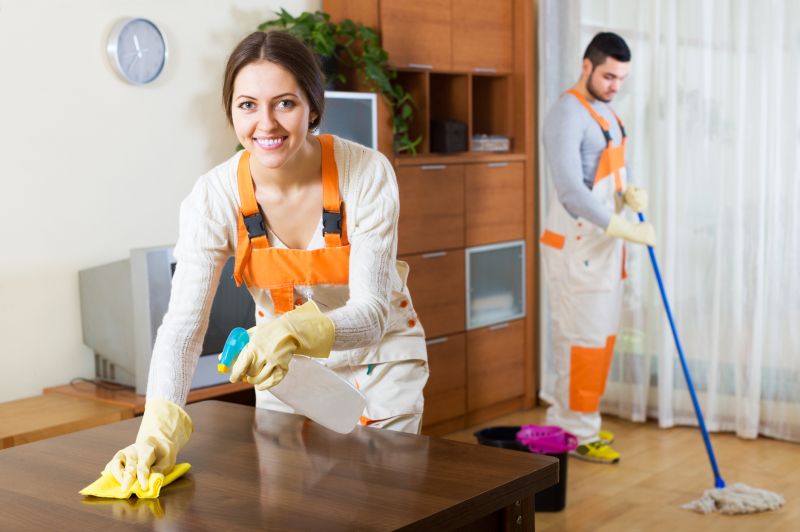Apartment Cleaning Service in Renton, WA